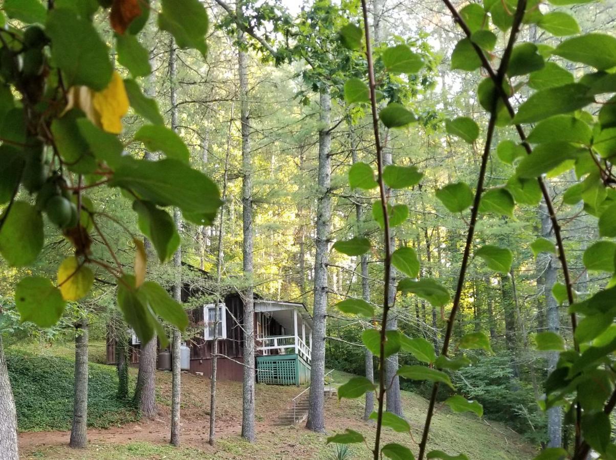 The Cabins At Healing Springs Crumpler 외부 사진