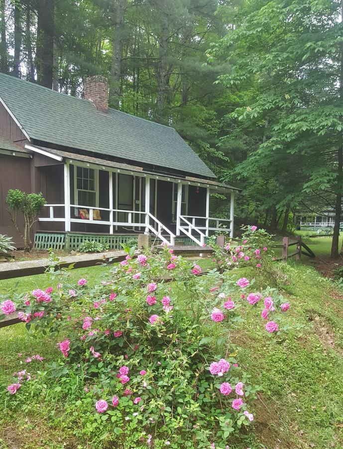 The Cabins At Healing Springs Crumpler 외부 사진